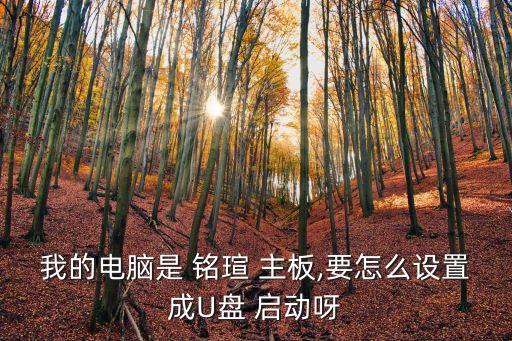 我的電腦是 銘瑄 主板,要怎么設置成U盤 啟動呀