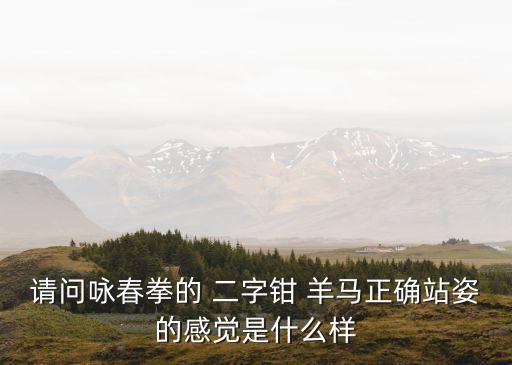 二字鉗羊馬,三角形穩定形狀適合騎馬人士選擇