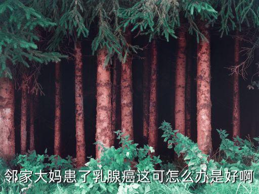 鄰家大媽患了乳腺癌這可怎么辦是好啊
