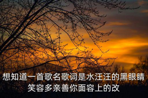 許冠杰經(jīng)典歌曲，許冠杰有哪些歌好聽