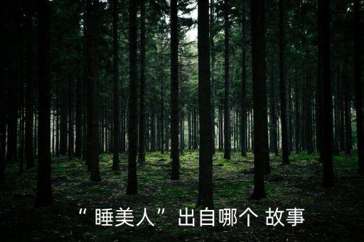 睡美人的故事,歐洲經(jīng)典童話:睡美人成為家喻戶曉的故事