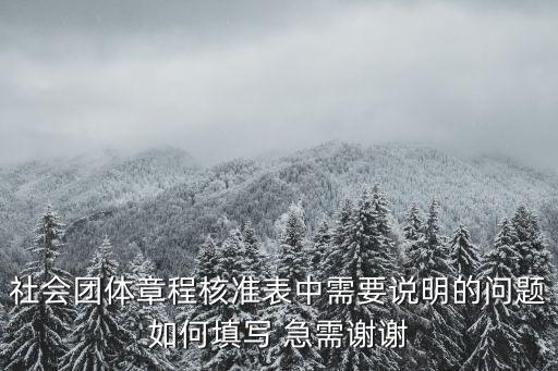 上海市社會團體章程，社會團體章程要跟足示范文本嗎
