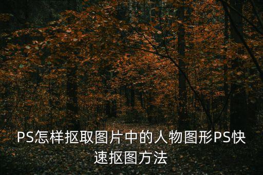 怎樣摳圖,如何使用ps套索工具進行摳圖?