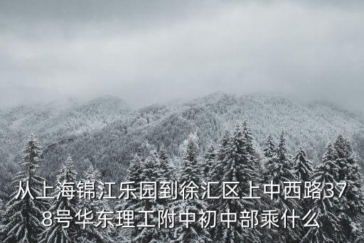 從上海錦江樂園到徐匯區上中西路378號華東理工附中初中部乘什么