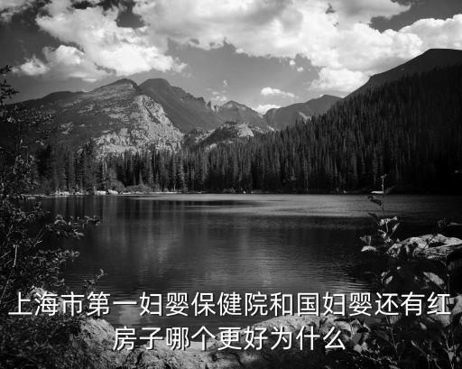 上海市第一婦嬰保健院和國(guó)婦嬰還有紅房子哪個(gè)更好為什么