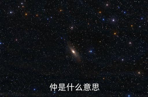  仲是什么意思