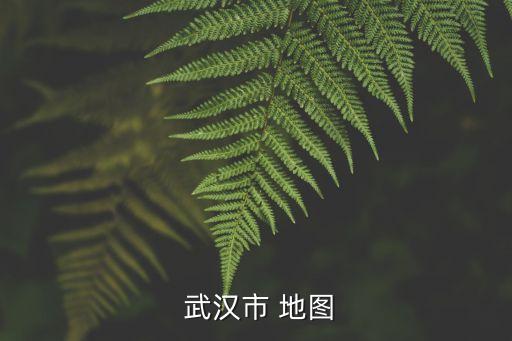 武漢地圖,騰訊地圖:武漢位于武漢平原中部