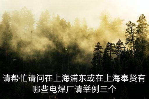請幫忙請問在上海浦東或在上海奉賢有哪些電焊廠請舉例三個