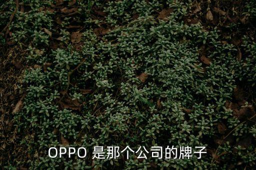 oppo公司簡介，OPPO 是那個公司的牌子