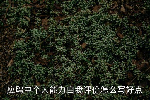 應聘中個人能力自我評價怎么寫好點