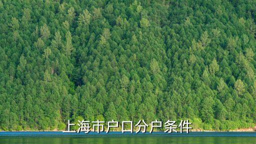 上海市戶口分戶條件