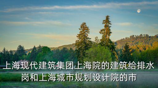 上海現代建筑集團上海院的建筑給排水崗和上海城市規劃設計院的市