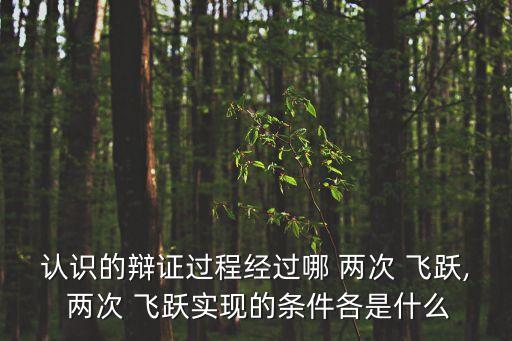 認識的辯證過程經過哪 兩次 飛躍, 兩次 飛躍實現的條件各是什么