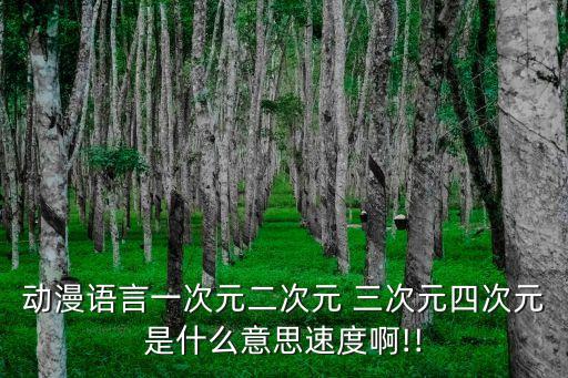 動漫語言一次元二次元 三次元四次元是什么意思速度啊!!