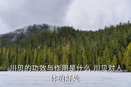  川貝的功效與作用是什么 川貝對人體的好處
