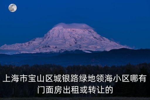 上海市寶山區(qū)城銀路綠地領(lǐng)海小區(qū)哪有門(mén)面房出租或轉(zhuǎn)讓的