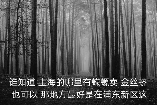 上海市藍天路518 號，誰知道 上海的哪里有蠑螈賣 金絲蟒 也可以 那地方最好是在浦東新區這