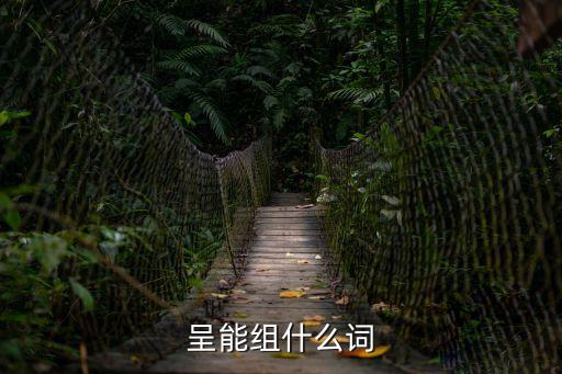 呈能組什么詞