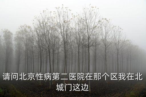 請問北京性病第二醫院在那個區我在北城門這邊