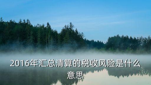 2016年匯總清算的稅收風(fēng)險(xiǎn)是什么意思