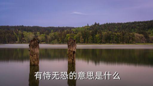 有恃無(wú)恐啥意思,選票結(jié)果】投票日倒數(shù)第二場(chǎng)