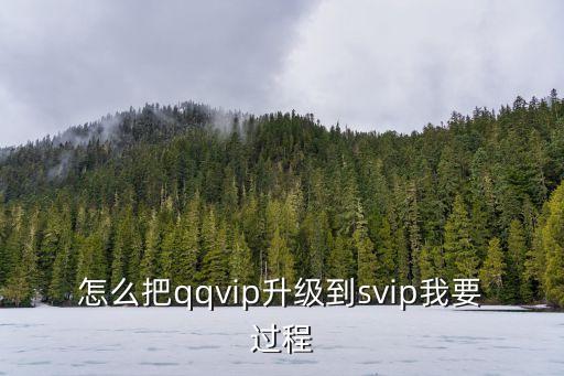 怎么把qqvip升級(jí)到svip我要過程