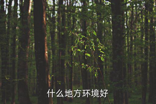 什么地方環境好