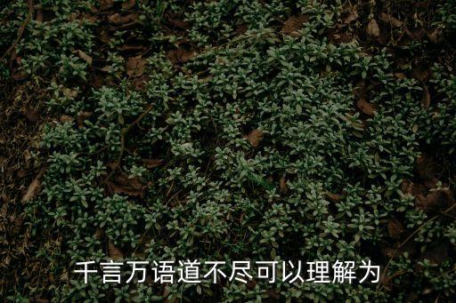 千言萬語道不盡，千言萬語道不盡可以理解為