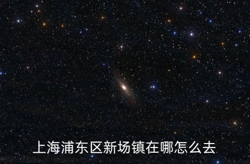 上海市浦東新區(qū)新廠鎮(zhèn)，浦東新區(qū)新場(chǎng)鎮(zhèn)郵政編碼