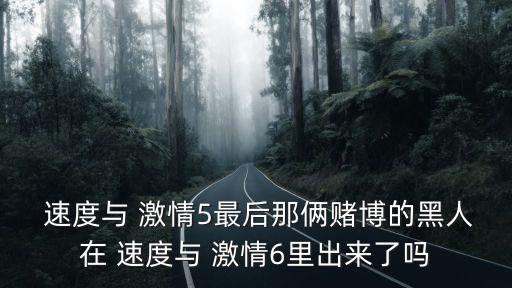  速度與 激情5最后那倆賭博的黑人在 速度與 激情6里出來了嗎