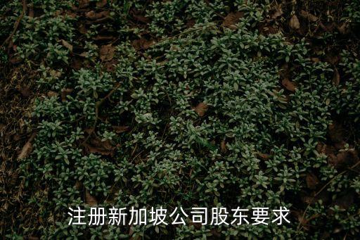 注冊新加坡公司，怎樣在新加坡辦公司