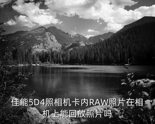 佳能5D4照相機卡內RAW照片在相機上能回放照片嗎