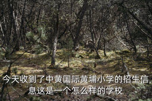今天收到了中黃國際黃埔小學的招生信息這是一個怎么樣的學校