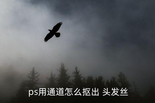 ps怎么摳頭發絲,通道摳圖頭發絲教你如何飛揚頭發