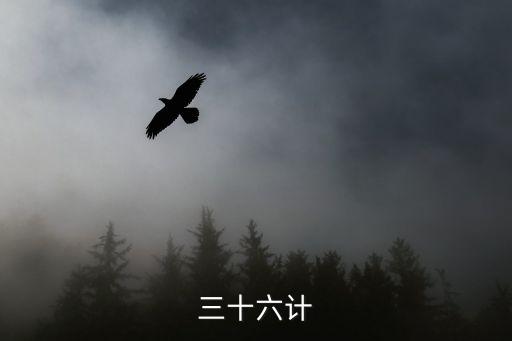 三十六計全文，三十六計