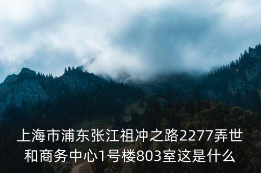 上海市浦東張江祖沖之路2277弄世和商務(wù)中心1號(hào)樓803室這是什么