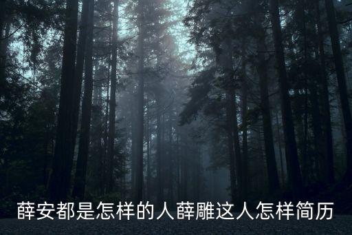 薛安都是怎樣的人薛雕這人怎樣簡歷