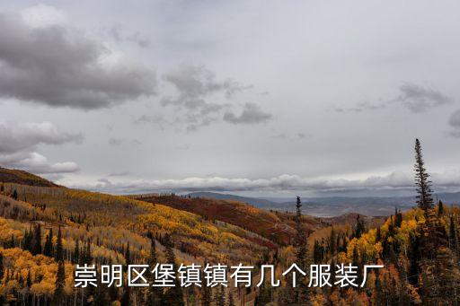 上海市服裝廠企業名錄，上海青浦區有哪些服裝廠
