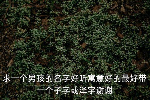 求一個男孩的名字好聽寓意好的最好帶一個子字或澤字謝謝