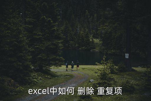 刪除重復(fù)項(xiàng),點(diǎn)擊刪除重復(fù)按鈕可瀏覽頁面菜單