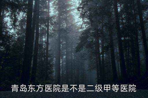 青島東方醫(yī)院是不是二級甲等醫(yī)院