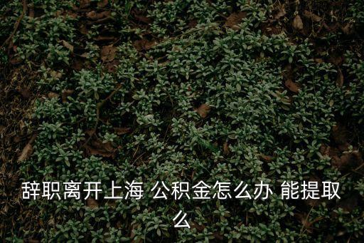 上海市離職能提取公積金嗎，辭職離開上海 公積金怎么辦 能提取么
