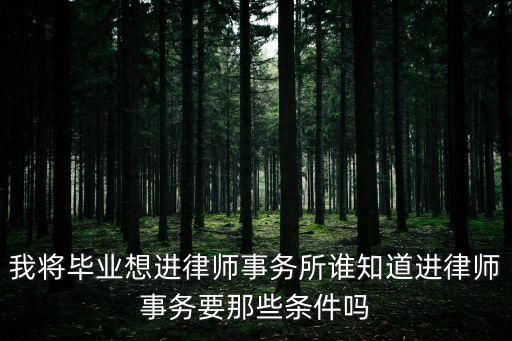 我將畢業(yè)想進律師事務所誰知道進律師事務要那些條件嗎