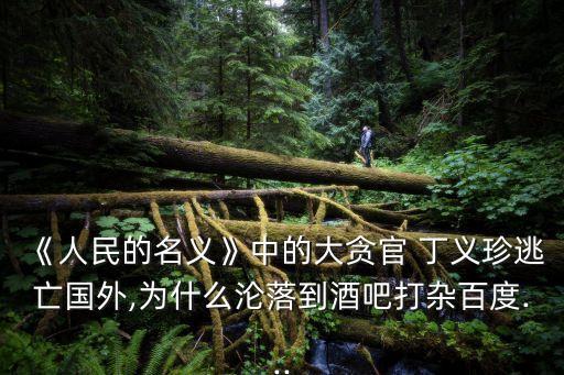 《人民的名義》中的大貪官 丁義珍逃亡國外,為什么淪落到酒吧打雜百度...