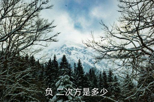 負(fù) 二次方是多少