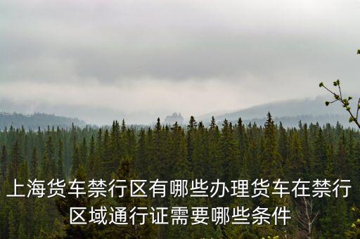 上海貨車禁行區(qū)有哪些辦理貨車在禁行區(qū)域通行證需要哪些條件