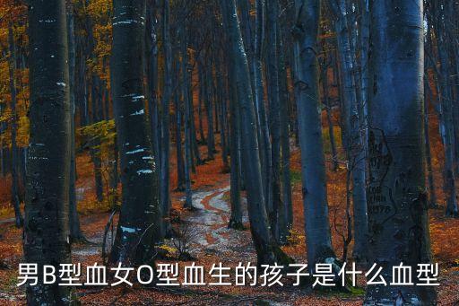 男B型血女O型血生的孩子是什么血型