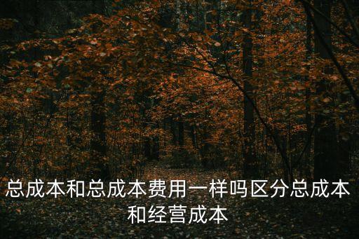 總成本費用，如何理解總成本費用的概念
