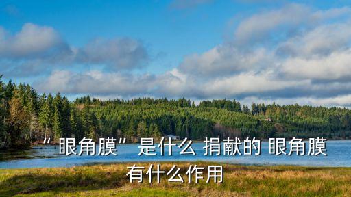 眼角膜捐獻(xiàn),捐獻(xiàn)眼角膜可幫助盲人復(fù)明嗎?