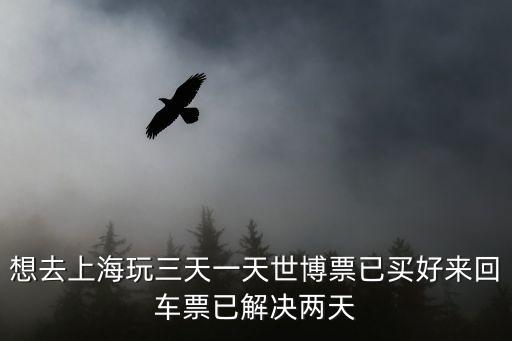 想去上海玩三天一天世博票已買好來回車票已解決兩天
